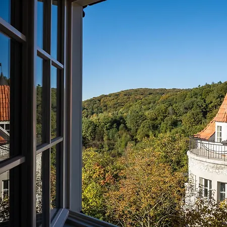 Forest Hotel 4*