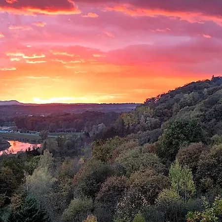 Forest Hotel 4*