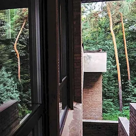 Forest ホテル
