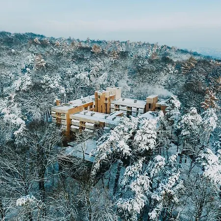 Forest Hotel Krakau